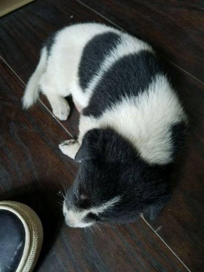 2c2d000167aa75fb9ec4