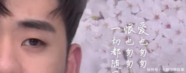 张云雷15年谢师16年坠楼17年平西王18年诠释