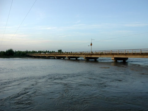 叶尔羌河流域湿地