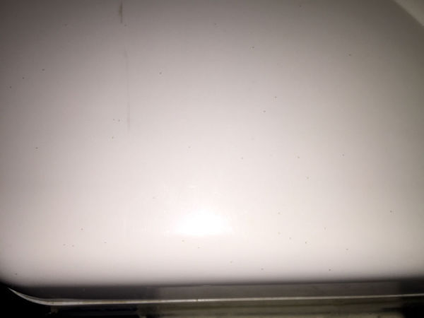 家里鱼缸外面好多一丝丝大的虫子,仔细看才能