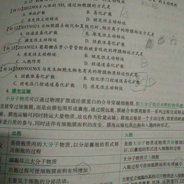 为什么经化学门控通道易化扩散的跨膜物质转运