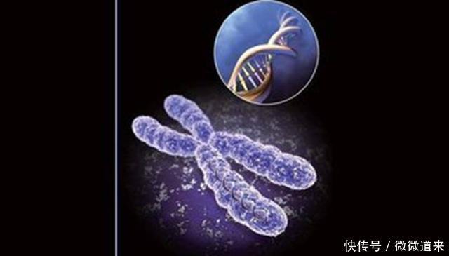 科学界最尖端的125个谜团, 诺贝尔奖在等待它们