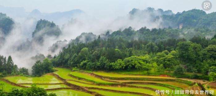 藏在悬崖峭壁的空中田园 终于找到了!
