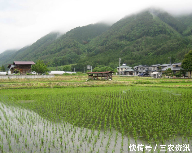 走进日本农村，实拍农民在乡村的日常生活！