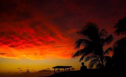 国家监督弟一集