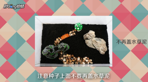 魚缸水泵調(diào)節(jié)閥（魚缸水泵調(diào)節(jié)閥咋安裝） 魚缸水泵