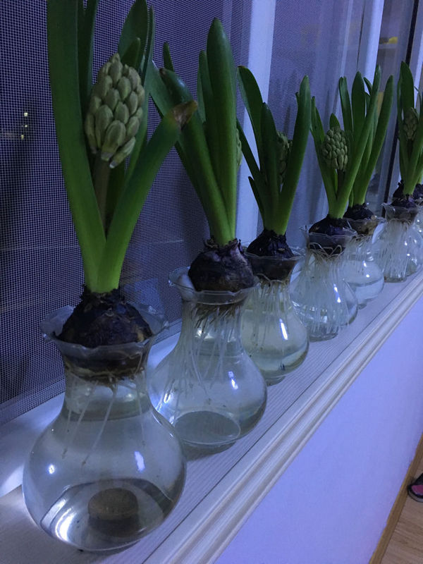 美发工作室 没合同 和老板吵了一架没做了 不发