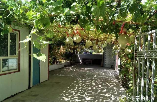 t01875f9a9ad765dca4.jpg?size=640x417