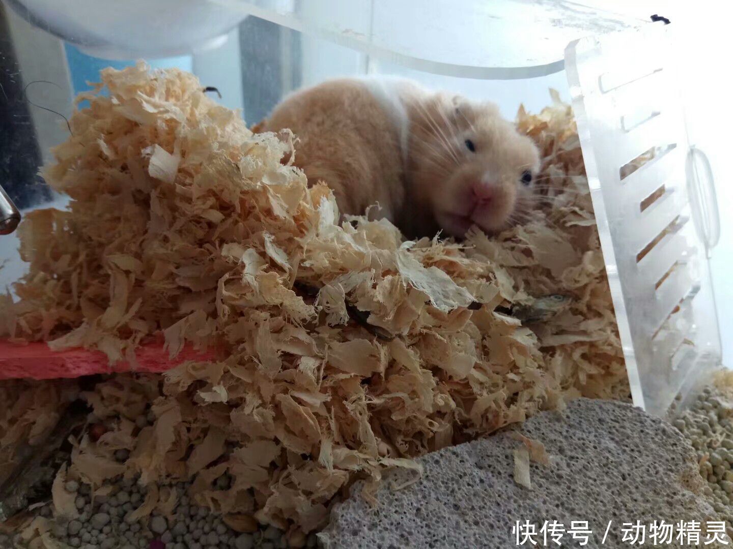 迷迷糊糊睡着了好像又没睡着 t018834b4b216303c01.jpg