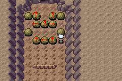 口袋妖怪蓝宝石中海底洞窟很多的石头怎么搬?