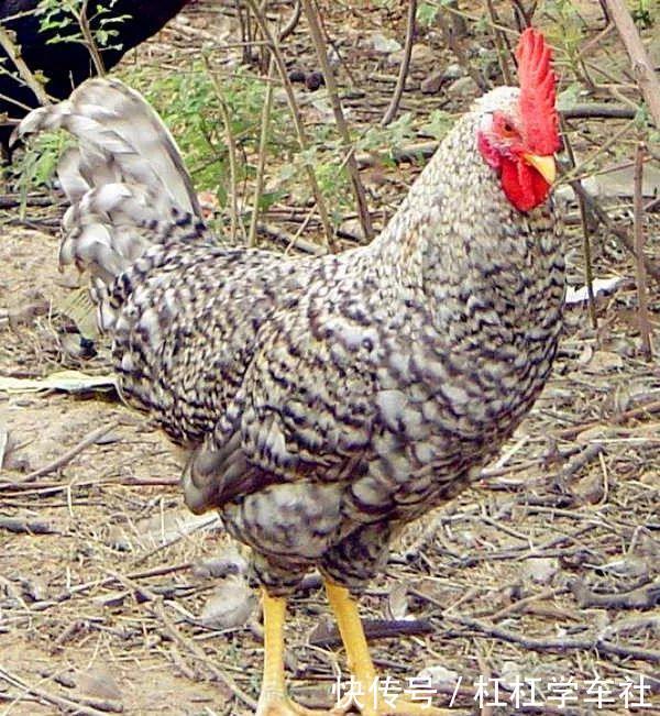 汶上县属于哪个市