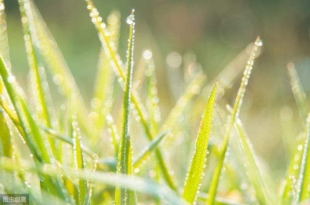 林徽因经典语录,每一句都饱含深情,最后一句让