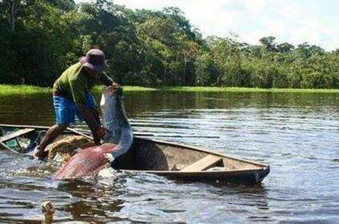 男子在湖里抓到未知鱼种, 听到村里老人的话, 大