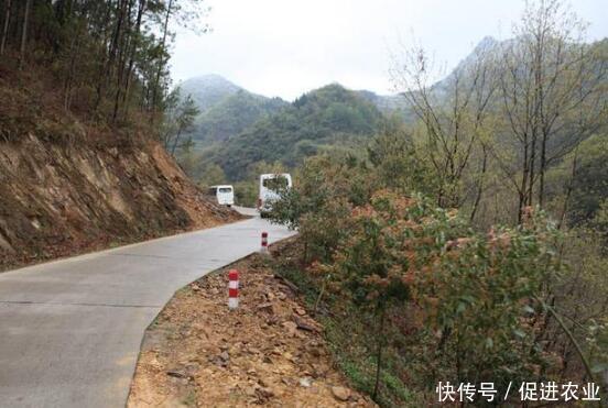 农村公路一直在修,为什么很多道路用不了太久就得重修