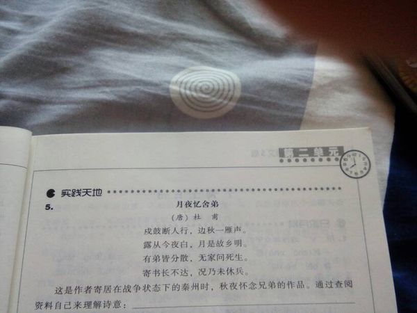 月夜忆舍弟的诗意。帮一下忙。_360问答