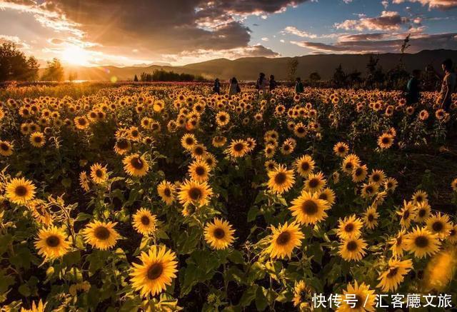 嗨,那个赶路人,这里是丽江