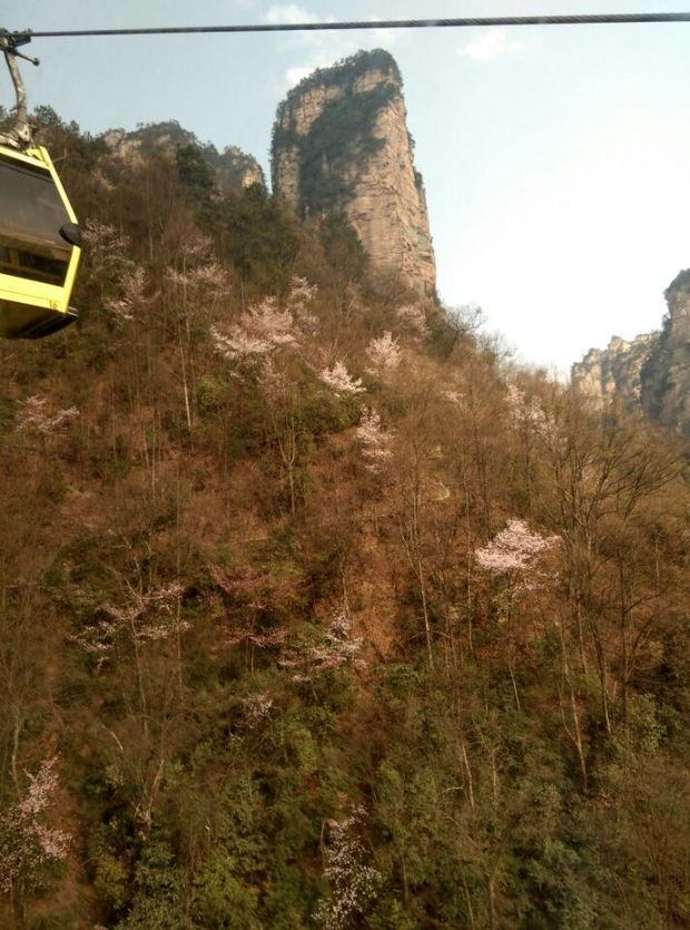 现在去张家界旅游好玩吗? 冷吗?_360问答