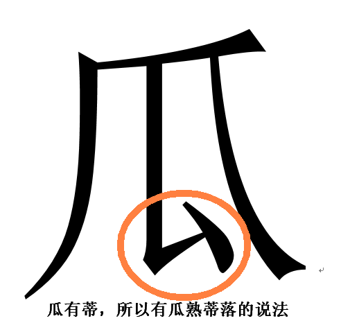 说一说你是怎么区分爪和瓜的_360问答