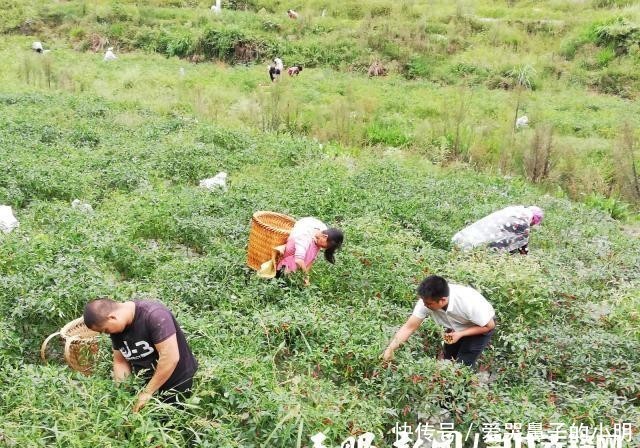 t018e74e2c719661725.jpg?size=640x448