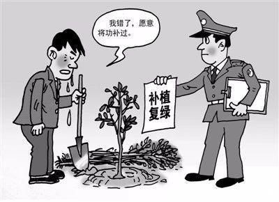 随州男子祭妻引发山火,狂栽7000棵树补绿,检方