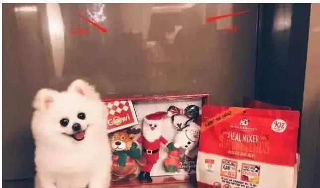 张馨予随老公居住广州,展现高段位秀恩爱,网友