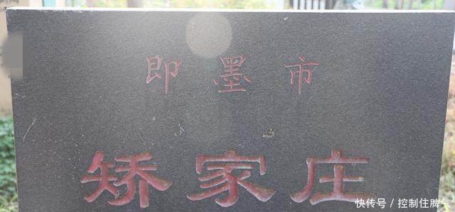 t018f8da4c81329479c.jpg