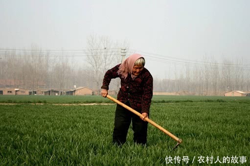 城里人老了有退休金，农村人为何却没有？专家的答案，让农民无奈