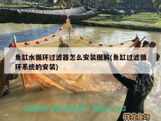 金魚缸抽水泵怎么安裝的圖解（金魚缸抽水泵怎么安裝的圖解視頻）