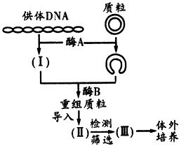 科学家从某些能无限增殖的细胞质中分离出无限