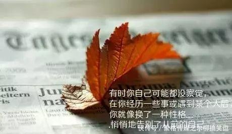 12月最新漂亮早上好表情图片带字,最漂亮早晨