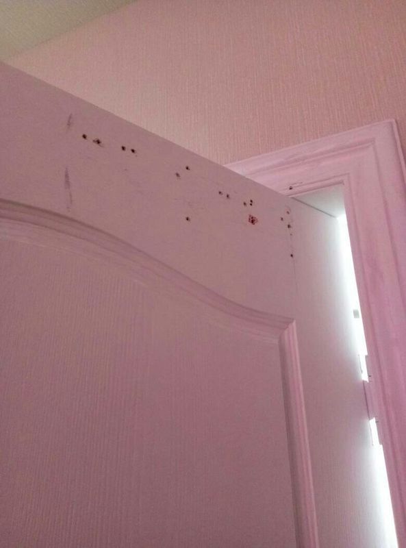 这样的门能不能安装闭门器啊?因为它按在室内