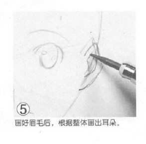 跪求动漫脸部画法 视频最好,要么图文解析(要详