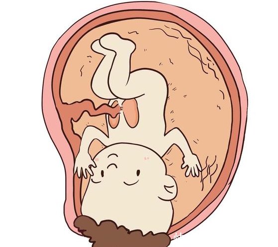 胎儿入盆是什么感觉?临产前准妈妈别忽视这四