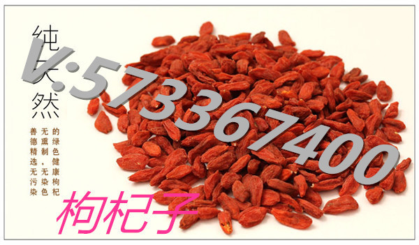 香菇排骨汤里放西红柿和米饭么_360v香菇黄焖鸡枸杞怎么付帐图片