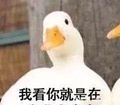 斗图表情:最火努力鸭表情:三十多张表情表情包动信如何大全微图图片图片