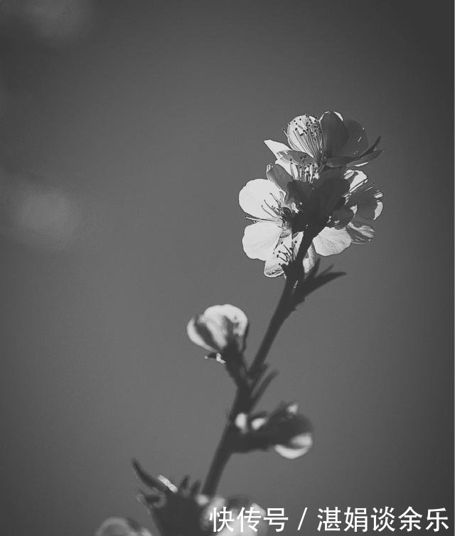 为什么说《活着》是中国版的《老人与海》