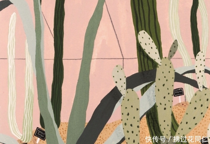对花啜茶,煞风景? 白金会娱乐