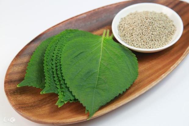 得了荨麻疹?这三大禁忌千万别碰!_360问答