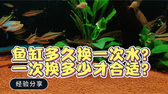 昆明魚缸維修電話多少（昆明大型魚缸定做）