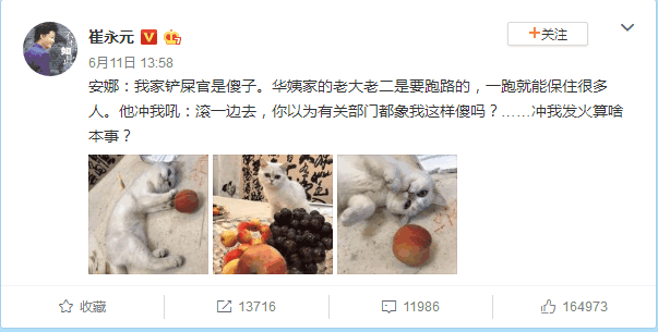 华谊兄弟疯狂套现, 疑似跑路, 崔永元: 你以为有