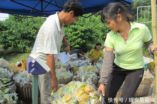 农村有种稀罕果子，妇女吃了能催奶，大部分人竟不知道