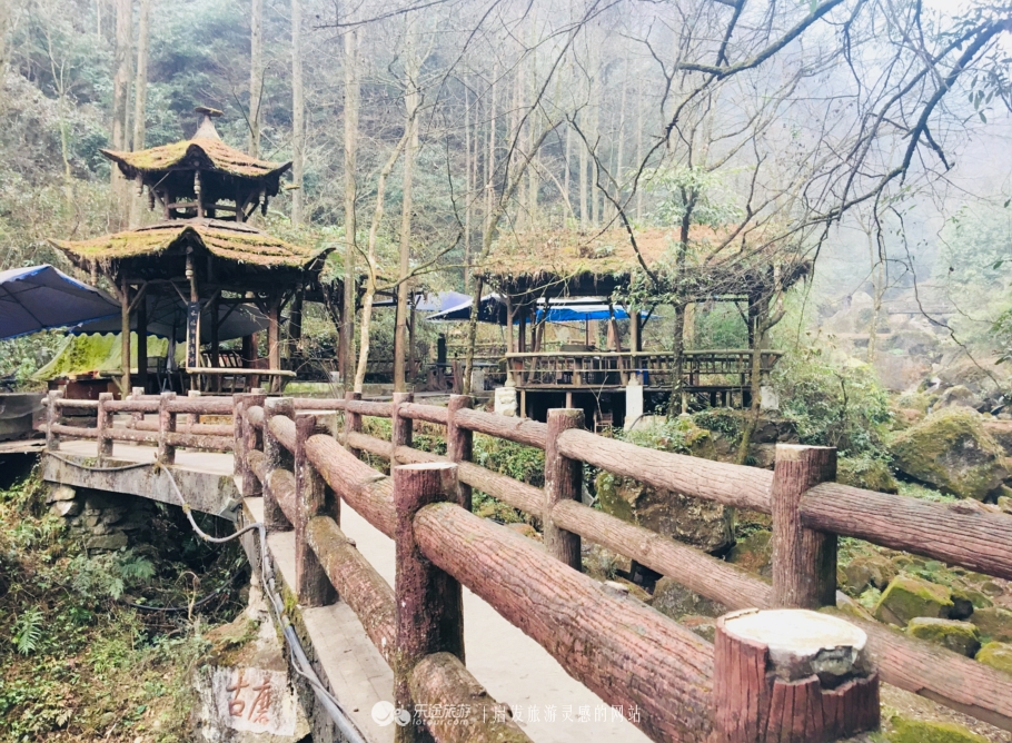 青城后山，没进都江堰的都江堰之旅