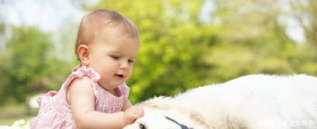 1-2岁的宝宝语言能力训练方法,值得借鉴!