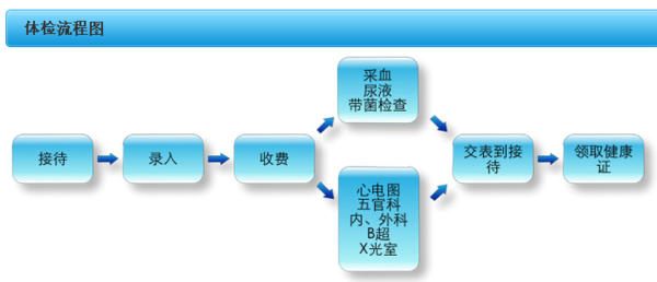 办理护照时,所需要的体检主要是什么_360问答