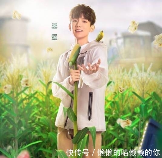 《哈哈农夫》节目组种假甘蔗被拆穿,金瀚贾乃