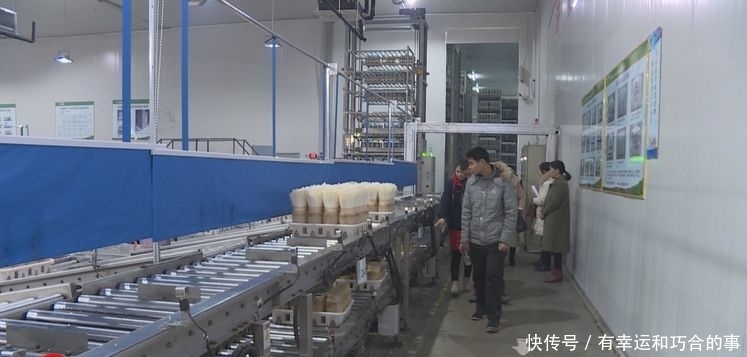 残疾人就业条例