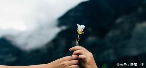 2018年最经典微小说出轨