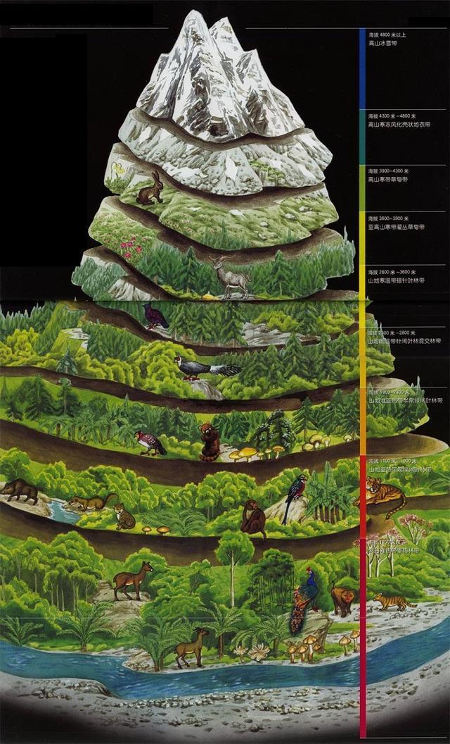 横断山脉：中国垂直分异最明显的山脉，一山有四季，十里不同天