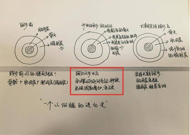 跑步减肥会粗腿吗?