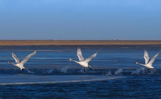 寒假、春节国内哪些地方适合年轻人一起旅游?